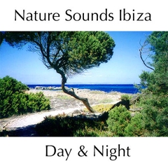 Nature Sounds