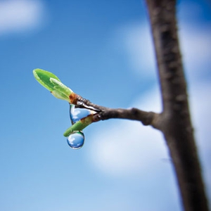 Music For Contemplation