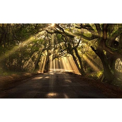 Music for Spiritual Growth